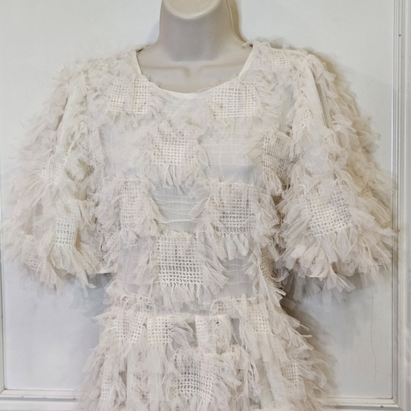 Endless Rose Cream Abstract Textured Mesh Puff Sleeve Mini Dress,Medium - Picture 10 of 16